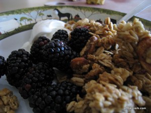 Yogurt with berries and granola 