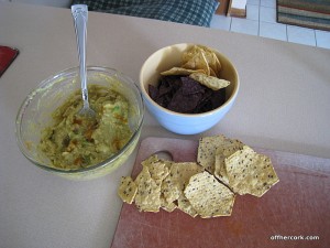 Guacamole and chips 