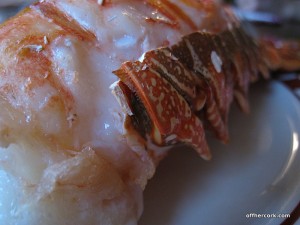 Lobster tail 