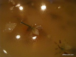 Flowers in the soup 