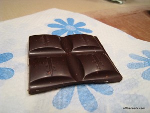dark chocolate squares 