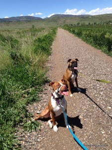 Penny and Avery on the trail