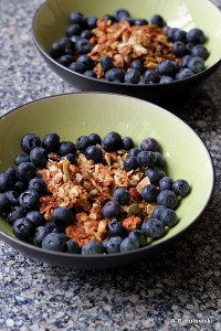 grain free granola and blueberries