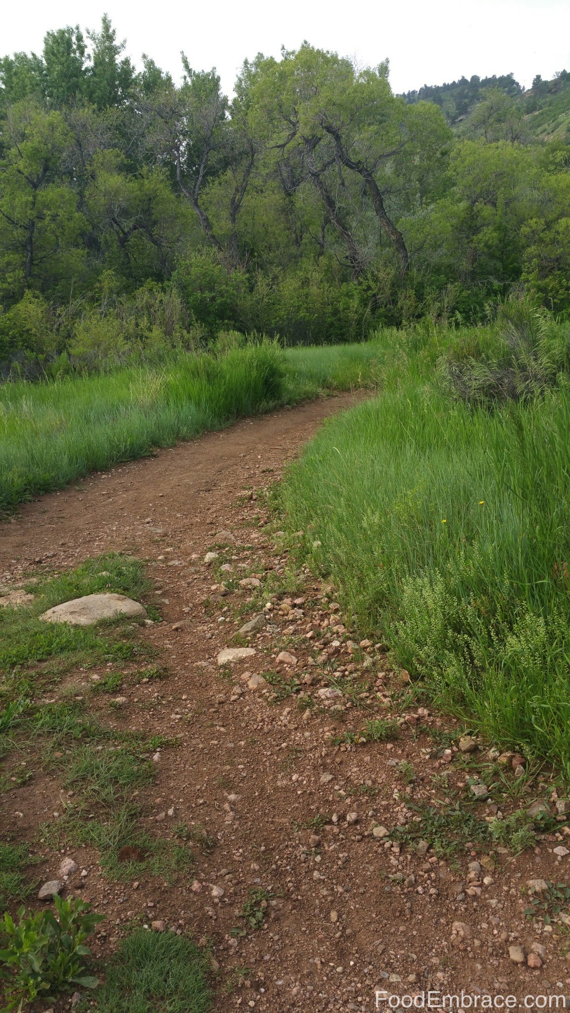 Pineridge trail 