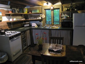 Cabin kitchen 