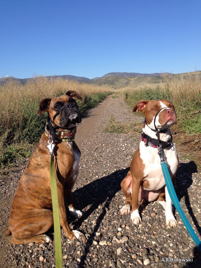 Avery and Penny on a hike